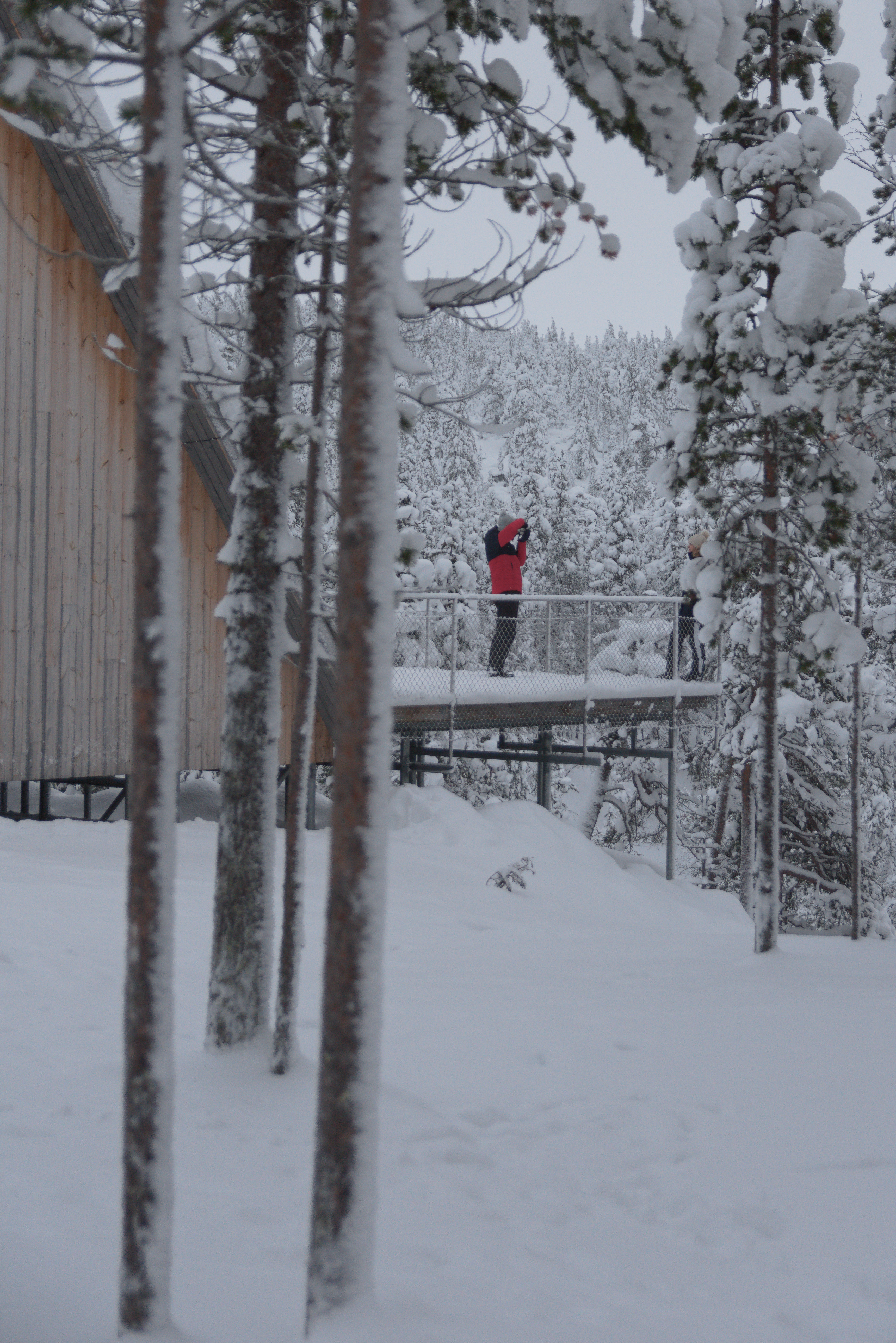 Red coat stands out among the snow